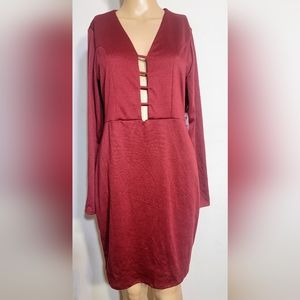 NWT Maroon Bodycon Long Sleeve Dress